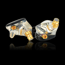 Handcrafted Acrylic In Ear Monitors w/ Dual Drivers